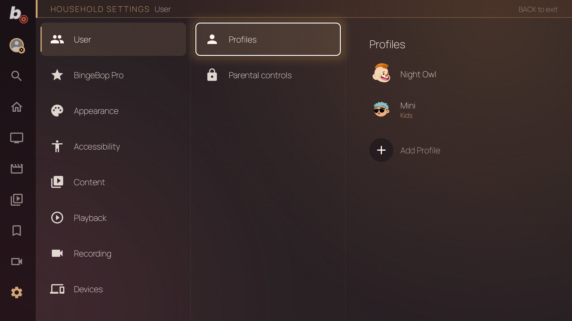 Profiles panel in Household Settings — Night Owl and Mini (Kids) profiles with Add Profile button