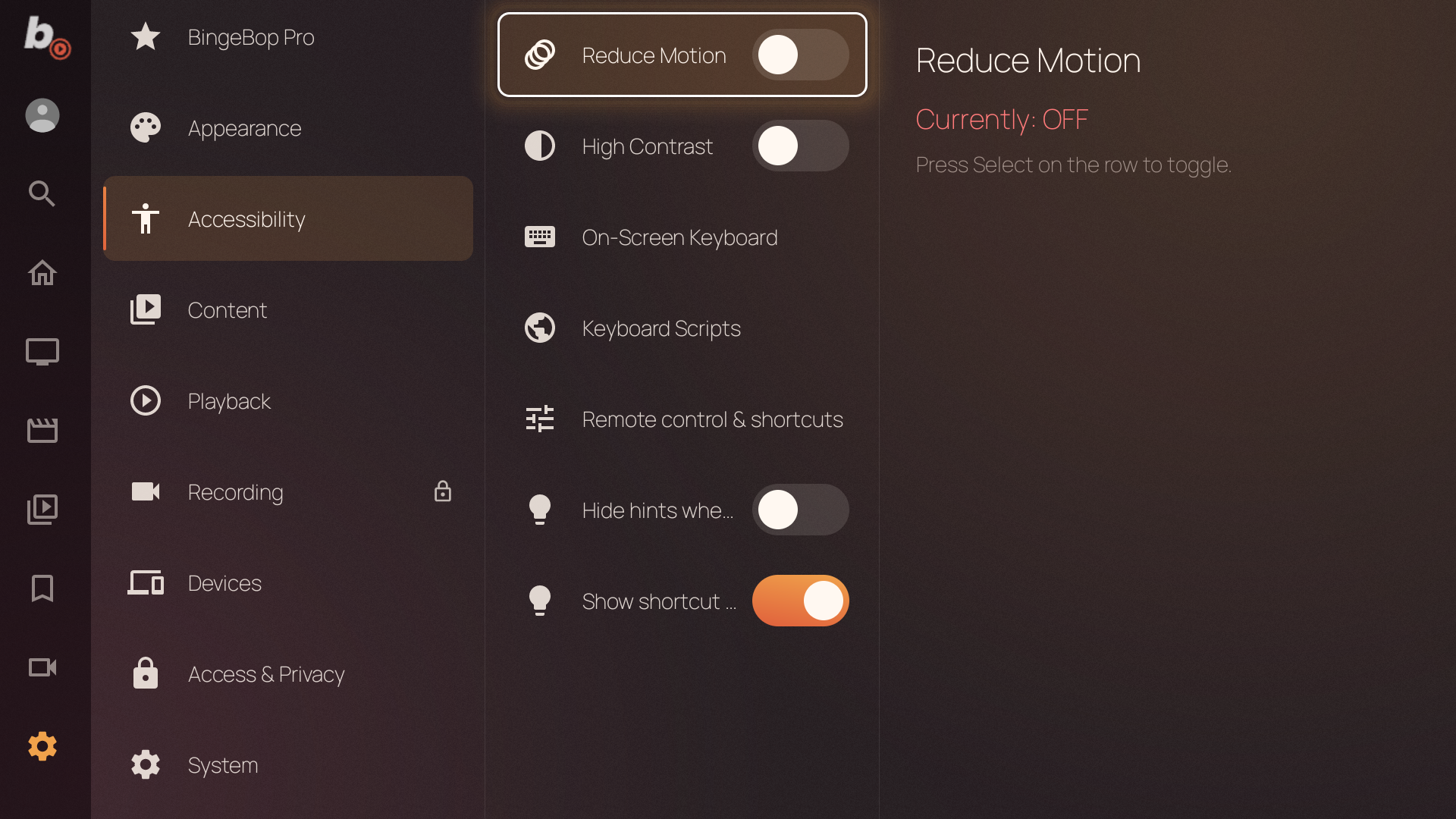 Accessibility settings — Reduce Motion, High Contrast, keyboard, button mapping, hints